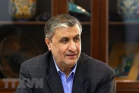 Giám đốc Cơ quan Năng lượng Nguyên tử Iran (IAEO) Mohammad Eslami. (Ảnh: IRNA/TTXVN) 