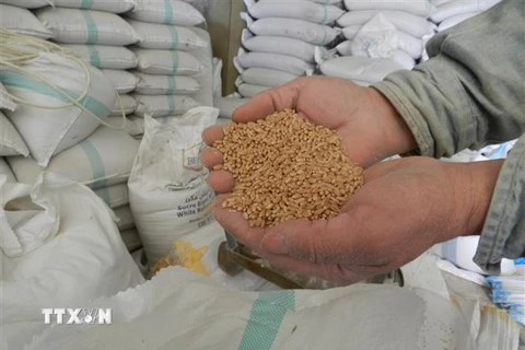 Lúa mỳ nhập khẩu từ Ukraine tại một cửa hàng ở Hasbaya, Liban. (Ảnh: THX/TTXVN) 