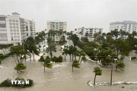 Ngập lụt trên đường phố ở Naples, bang Florida (Mỹ) do mưa lớn khi bão Ian đổ bộ, ngày 29/9/2022. (Ảnh: THX/TTXVN) 