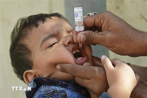Nhân viên y tế nhỏ vaccine ngừa bệnh bại liệt cho trẻ em tại Karachi, Pakistan. (Ảnh: AFP/TTXVN)