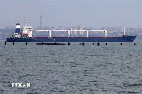 Tàu M/V Razoni chở 26.000 tấn ngũ cốc rời cảng Odessa của Ukraine để tới Tripoli (Liban) ngày 1/8/2022. (Ảnh: AFP/TTXVN) 