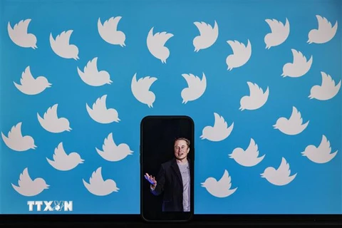 Ảnh tỷ phú Elon Musk trên màn hình điện thoại và biểu tượng của mạng xã hội Twitter. (Ảnh: AFP/TTXVN) 