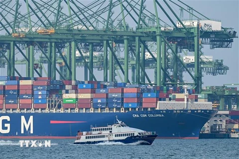 Tàu container tại cảng Pasir Panjang, Singapore. (Ảnh: AFP/TTXVN)