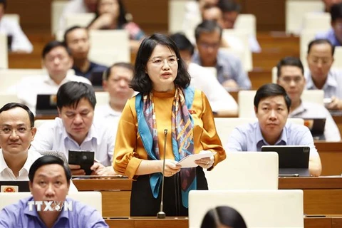 Đại biểu Quốc hội tỉnh Hải Dương Nguyễn Thị Mai Hoa đặt câu hỏi chất vấn. (Ảnh: Doãn Tấn/TTXVN) 