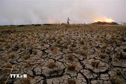 Đất khô nứt nẻ trên cánh đồng ở Qaliubia, Ai Cập. (Ảnh: AFP/TTXVN) 