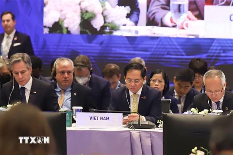 Bộ trưởng Ngoại giao Bùi Thanh Sơn tại Hội nghị Bộ trưởng APEC lần thứ 33. (Ảnh: Đỗ Sinh/TTXVN) 