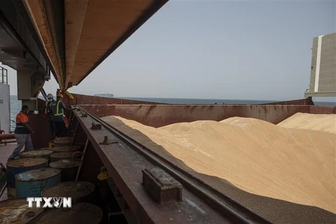 Tàu chở lúa mỳ cập cảng của Djibouti ngày 30/8/2022. (Ảnh: AFP/TTXVN)