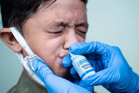 Australia phát triển một loại vaccine dạng nhỏ mũi có thể giúp cơ thể tăng cường khả năng bảo vệ trước virus gây bệnh COVID-19. (Nguồn: Drugtargetreview) 