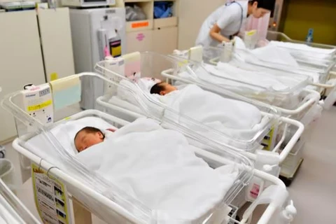 ​Số trẻ được sinh ra từ tháng Một đến tháng Chín năm nay tại Nhật Bản là 599.636 trẻ, bao gồm cả trẻ người nước ngoài, giảm 30.933 trẻ so với cùng kỳ năm ngoái. (Nguồn: Nikkei)
