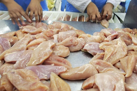 Salmonella có thể tìm thấy trong rất nhiều loại thực phẩm như thịt gà, thịt bò, thịt lợn, trứng, rau, trái cây và thậm chí cả trong thực phẩm chế biến. (Nguồn: Getty Images)