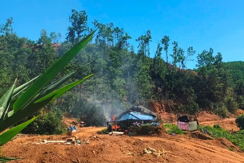 Phá huỷ các lán trại khai thác vàng trái phép trong khu vực Bồng Miêu. (Nguồn: Báo Tài nguyên Môi trường)