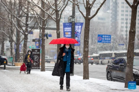 Tuyết rơi ở Hàn Quốc. (Nguồn: Tân Hoa xã)