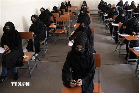 Nữ sinh tham gia kỳ thi tuyển sinh đại học ở Kabul, Afghanistan ngày 13/10/2022. (Ảnh: AFP/TTXVN) 