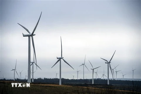 EU thông qua kế hoạch hỗ trợ năng lượng tái tạo 28 tỷ euro của Đức