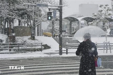 Tuyết rơi dày đặc tại Tokushima, Nhật Bản, ngày 23/12/2022. (Ảnh: Kyodo/TTXVN)