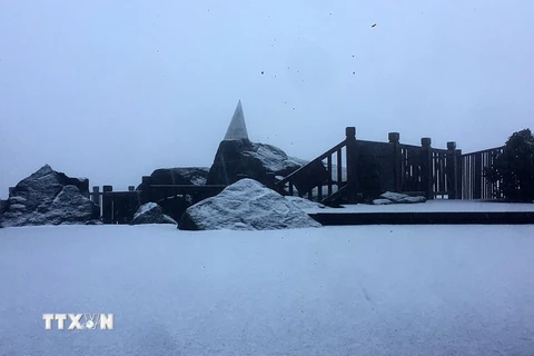 [Photo] Nhiệt độ giảm sâu, đỉnh Fansipan xuất hiện mưa tuyết dày