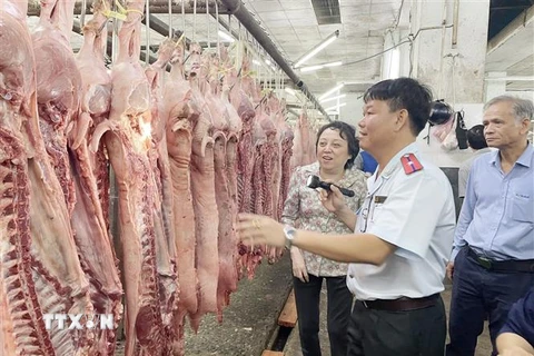 Đoàn kiểm tra Ban Quản lý an toàn thực phẩm Thành phố Hồ Chí Minh kiểm tra thịt lợn nhập về chợ đầu mối nông sản thực phẩm Hóc Môn. (Ảnh: TTXVN phát) 