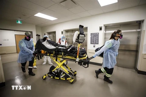Nhân viên y tế chuyển bệnh nhân COVID-19 tới bệnh viện ở Toronto, Ontario, Canada. (Ảnh: AFP/TTXVN)
