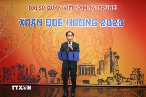 Đại sứ Việt Nam tại Brunei phát biểu tại Tết Cộng đồng-Xuân Quê hương 2023. (Ảnh: Mạnh Tuân/TTXVN)
