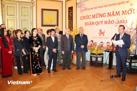 Đại sứ Nguyễn Văn Thảo phát biểu tại Tết cộng đồng tại Bỉ. (Ảnh: Hương Giang/Vietnam+)
