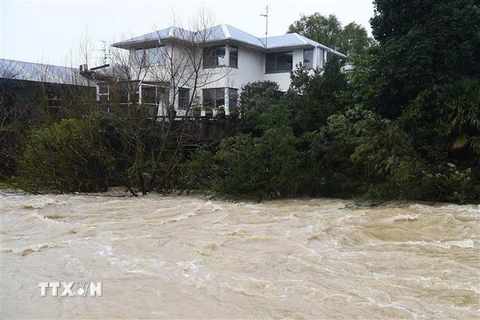 Mực nước sông Maitai ở Nelson, New Zealand, dâng cao do mưa lũ ngày 18/8/2022. (Ảnh: AFP/TTXVN)