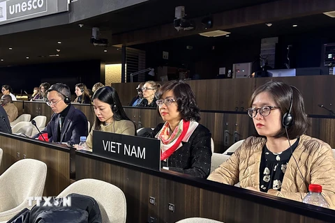 Việt Nam trúng cử Phó Chủ tịch UB bảo vệ đa dạng văn hóa UNESCO