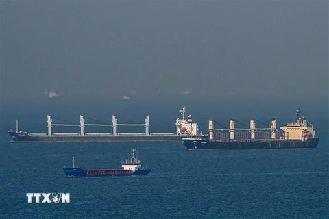 Tàu Rubymar (phải) chở ngũ cốc Ukraine đi vào eo biển Bosphorus, ngoài khơi bờ biển Kumkoy, phía Bắc Istanbul, trên Biển Đen, ngày 2/11/2022. (Ảnh: AFP/TTXVN)