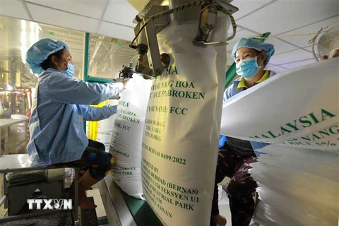 Đóng bao sản phẩm gạo xuất khẩu của Công ty Trách nhiệm hữu hạn gạo Vinh Phát ở thành phố Long Xuyên, tỉnh An Giang. (Ảnh: Vũ Sinh/TTXVN)