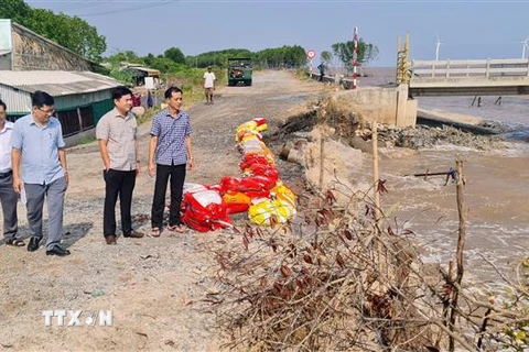 Lãnh đạo Sở Sở Nông nghiệp Phát triển Nông thôn tỉnh Bạc Liêu và thành phố Bạc Liêu kiểm tra thực tế sạt lở đê Biển Đông. (Ảnh: Tuấn Kiệt/TTXVN)