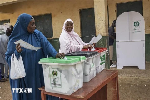 Cử tri Nigeria bỏ phiếu bầu Tổng thống và nghị sỹ quốc hội ở Yola ngày 25/2/2023. (Ảnh: AFP/TTXVN)