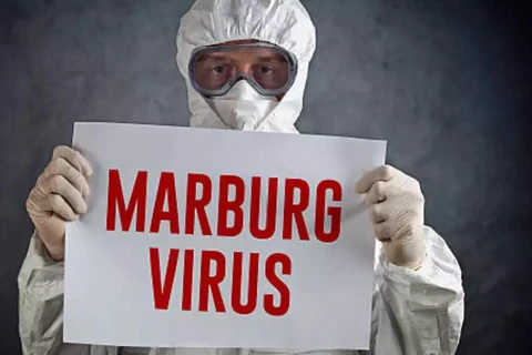 Marburg là virus gây xuất huyết nguy hiểm, có khả năng lây nhiễm cao tương tự Ebola và có thể gây tử vong. (Nguồn: Reuters)