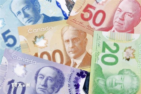 Đồng đôla Canada. (Nguồn: 123rf/TTXVN)