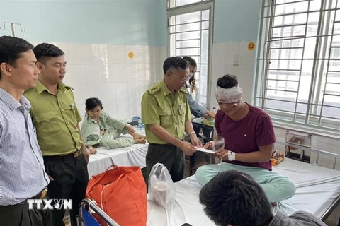 Lãnh đạo Chi cục Kiểm lâm Đồng Nai thăm hỏi, động viên kiểm lâm viên Chìu Văn Hai (kiểm lâm của Vườn quốc gia Cát Tiên) đang điều trị tại bệnh viện. (Ảnh: TTXVN phát)