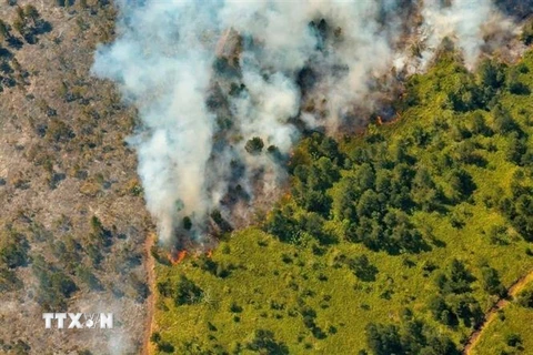 Khói bốc lên từ đám cháy rừng tại Pinares de Mayari, Cuba ngày 23/2/2023. (Ảnh: REUTERS/TTXVN)