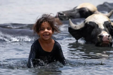 Một bé gái người Iraq đang ngâm mình dưới nước của dòng sông Diyala. (Nguồn: AFP)