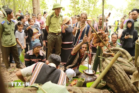 [Photo] Độc đáo lễ cúng tạ ơn Thần rừng của người Jrai ở Gia Lai 
