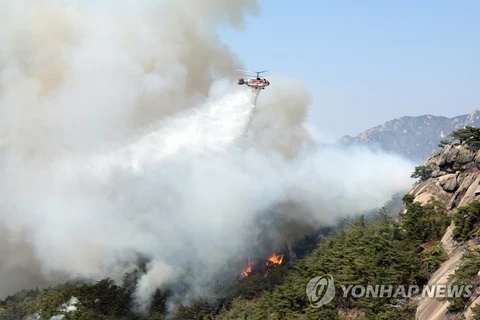 15 trực thăng được huy động tới dập tắt đám cháy trên núi Inwang. (Nguồn: Yonhap)