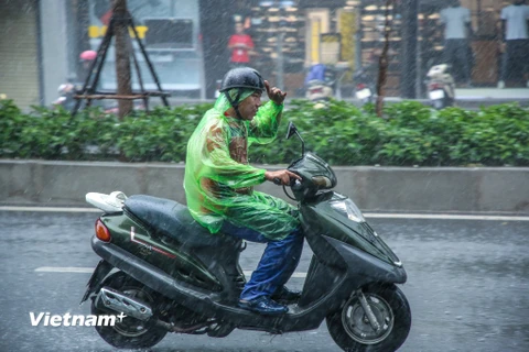 (Ảnh minh họa: Lê Minh Sơn/Vietnam+)