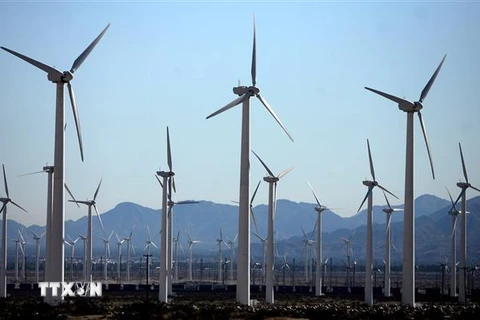 Cánh đồng cối xay gió ở gần Palm Springs, California, Mỹ. (Ảnh: AFP/TTXVN)