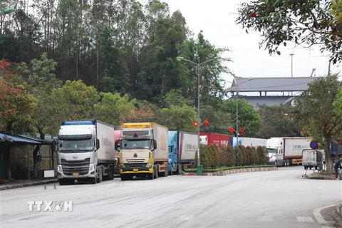 Phương tiện chờ xuất khẩu hàng hóa sang Trung Quốc tại cửa khẩu quốc tế Hữu Nghị. (Ảnh: Quang Duy/TTXVN)