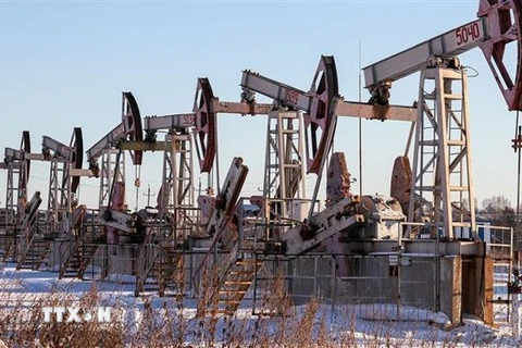 Các máy bơm dầu tại một giếng dầu của Nga. (Ảnh: TASS/TTXVN) 