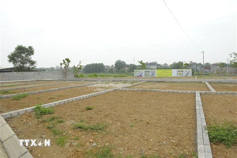 Một khu đất ở huyện Thạch Thất đã được phân lô để bán. (Ảnh: Mạnh Khánh/TTXVN)