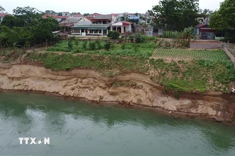 Sạt lở bờ sông tại khu 13, xã Dân Quyền, huyện Tam Nông, tỉnh Phú Thọ. (Ảnh: Tạ Toàn/TTXVN)