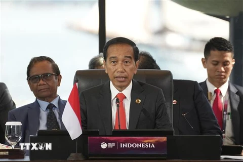Tổng thống Indonesia Joko Widodo (giữa). (Ảnh: AFP/TTXVN)