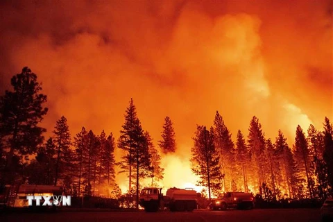 Cháy rừng ở Foresthill, bang California, Mỹ. (Ảnh: AFP/TTXVN)