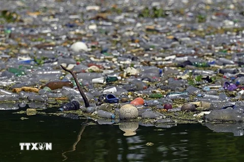 Rác thải nhựa tràn ngập tại hồ Suchitlan ở El Salvador ngày 9/9/2022. (Ảnh: AFP/TTXVN) 