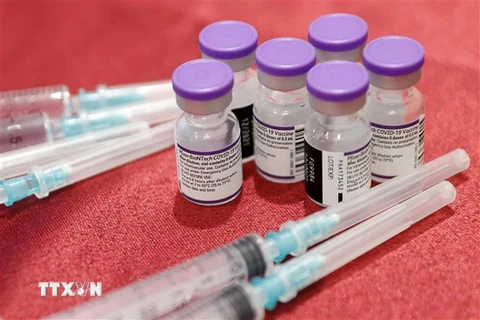 Vaccine phòng COVID-19 của Pfizer-BioNTech. (Ảnh: AFP/TTXVN)
