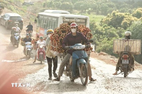 Người dân vất vả chở vải đi bán trong điều kiện Quốc lộ 31 đang thi công. (Ảnh: Danh Lam/TTXVN) 