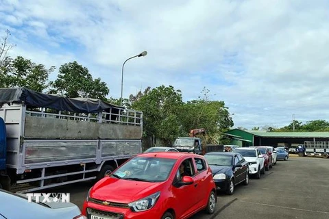 Xe xếp hàng chờ đăng kiểm xe tại Trung tâm Đăng kiểm xe cơ giới 48-01D, Đắk Nông. (Ảnh: Hưng Thịnh/TTXVN)