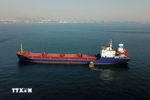 Tàu chở ngũ cốc di chuyển dọc Eo biển Bosphorus ở Istanbul, Thổ Nhĩ Kỳ. (Ảnh: AFP/TTXVN)